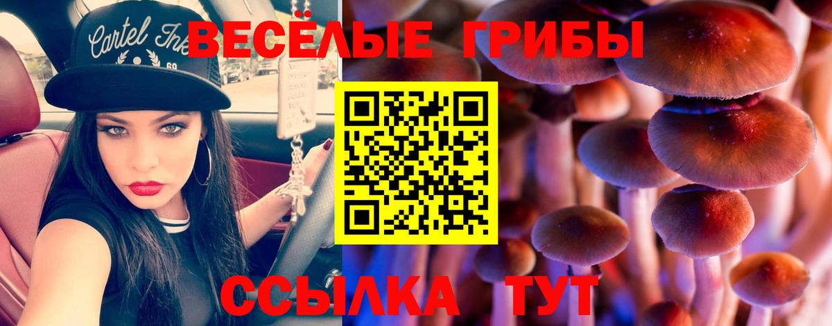 Галлюциногенные грибы Magic Shrooms Альметьевск